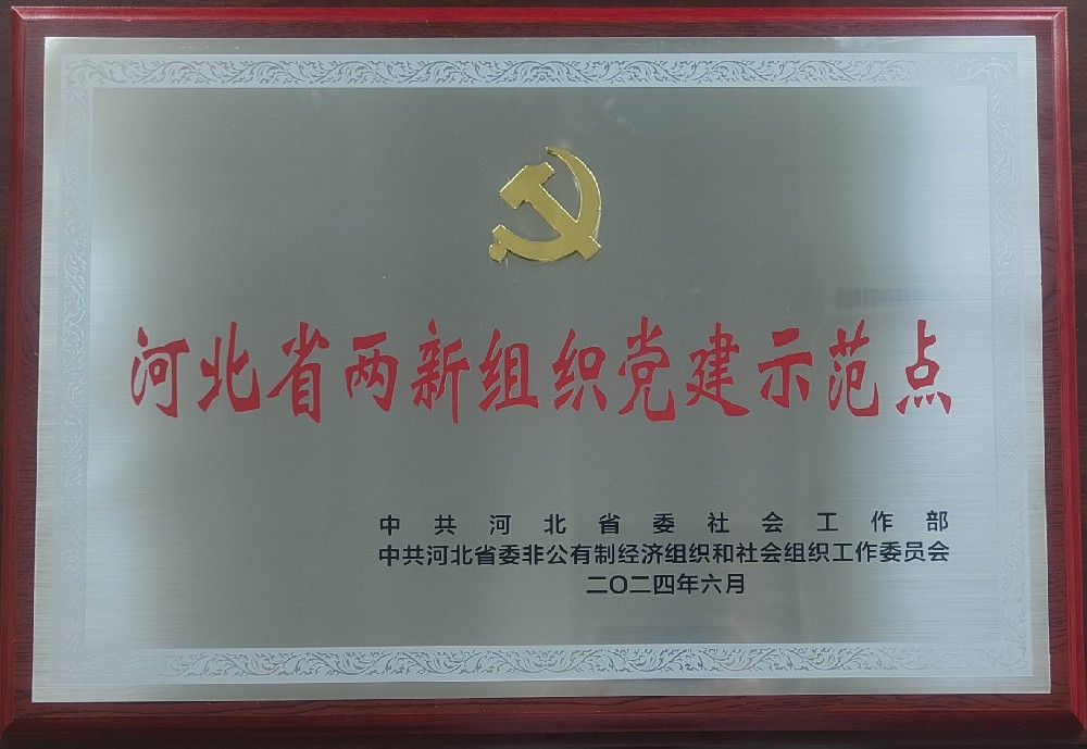 【喜报】河北省宁波商会党支部被命名为河北省两新组织党建示范点